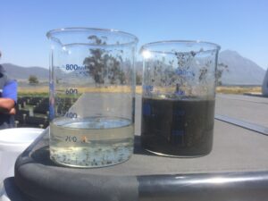 Activated sludge dewatering