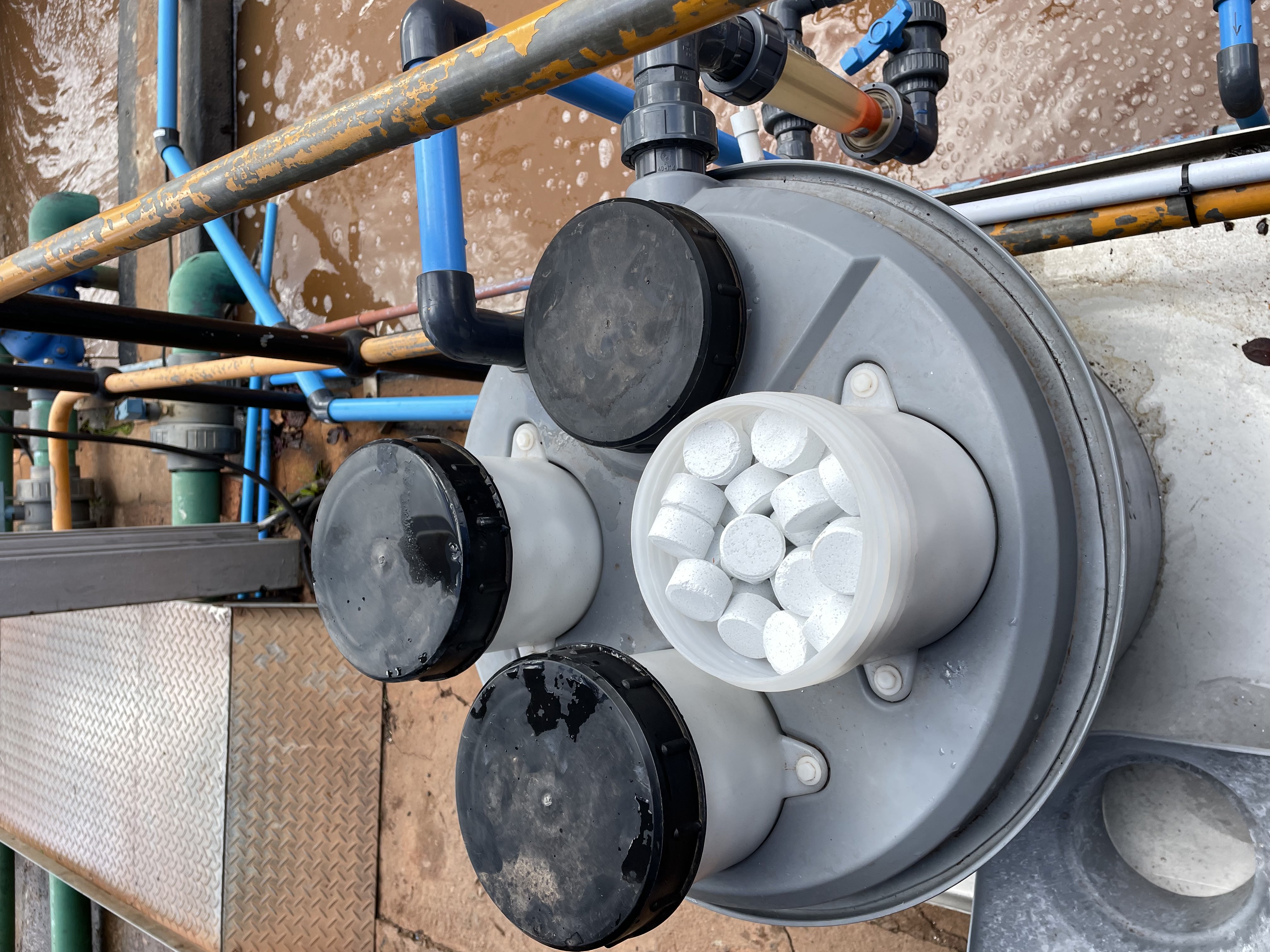 Sanitab chips for disinfection